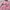 Japanese brand Vintage Y2K Bomber jacket Wanita pink photo 5
