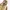 WHO.A.U Vintage Streetwear Denim jacket Pria cream photo 2