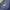 Carhartt Streetwear Casual Sweatshirt Pria navy photo 3