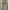Vintage Streetwear Pria Brown