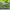 Sportswear Track jacket Pria green photo 4