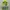 Sportswear Track Jacket Pria Green