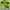 Sportswear Track jacket Pria green photo 3