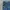 DogTown Vintage Streetwear Jeans Pria navy blue photo 3