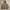 Nike Y2K Sportswear Windbreaker Pria Tan
