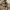 Nike Y2K Sportswear Windbreaker Pria tan photo 7