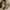 Nike Y2K Sportswear Windbreaker Pria tan photo 8