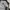 NEPA Gorpcore Windbreaker Pria black photo 4