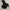 NEPA Gorpcore Windbreaker Pria black photo 1
