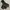 Montbell Gorpcore Windbreaker Pria black gray photo 1