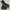 Montbell Gorpcore Windbreaker Pria Black Gray