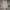 Streetwear Sweatshirt Pria multicolor photo 1