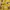 Piko Sports Vintage Sportswear Casual shirt Pria yellow photo 4