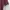 Uniqlo Vintage Casual Sweatshirt Pria burgundy photo 5