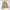 Takeo Kikuchi Casual Windbreaker Wanita Tan