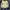 Vintage Biker Fur coat Pria cream tan photo 5