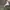 Vintage Casual Fur coat Pria green white photo 7
