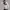 Nike NSW Sportswear Sweatshirt Pria cream photo 6