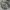 School Of Hard Knocks Vintage Y2K Fleece Pria white gray photo 6