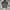 Nike Sportswear Casual Track jacket Pria gray photo 1