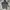 Nike Sportswear Casual Track Jacket Pria Gray