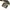Streetwear Sportswear Windbreaker Pria white black photo 4