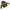 Streetwear Sportswear Windbreaker Pria white black photo 2