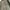 Streetwear Sportswear Windbreaker Pria white black photo 8