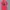 Montbell Vintage Gorpcore T-shirt Pria pink photo 4
