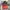 The North Face Streetwear Skater Bag Pria red photo 2