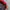 Streetwear Y2K Hat Pria blue red photo 6