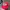Streetwear Y2K Hat Pria blue red photo 1