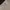 Casual Sweatshirt Pria white photo 4