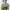KIRSH Luxury Sweater Wanita green photo 6