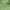 KIRSH Luxury Sweater Wanita green photo 3