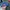 Vintage Sportswear Hat Pria blue photo 4