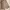 Uniqlo Minimalist Casual Pria Tan