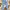 Japanese Brand Casual Skinny Jeans Wanita Blue