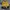 Chase Nascar Vintage Bomber jacket Pria yellow photo 1