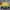 Chase Nascar Vintage Bomber jacket Pria yellow photo 5