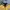Chase Nascar Vintage Bomber jacket Pria yellow photo 3