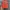 Chase Nascar Y2K Skater Hat Pria orange black photo 1