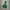 Adidas Casual Windbreaker Pria green photo 1