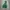 Adidas Casual Windbreaker Pria Green