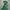 Adidas Casual Windbreaker Pria green photo 2