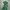 Adidas Casual Windbreaker Pria Green