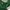 Adidas Casual Windbreaker Pria green photo 5