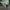 Adidas Casual Windbreaker Pria green photo 8