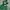 Adidas Casual Windbreaker Pria green photo 4