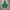 Adidas Casual Windbreaker Pria green photo 3